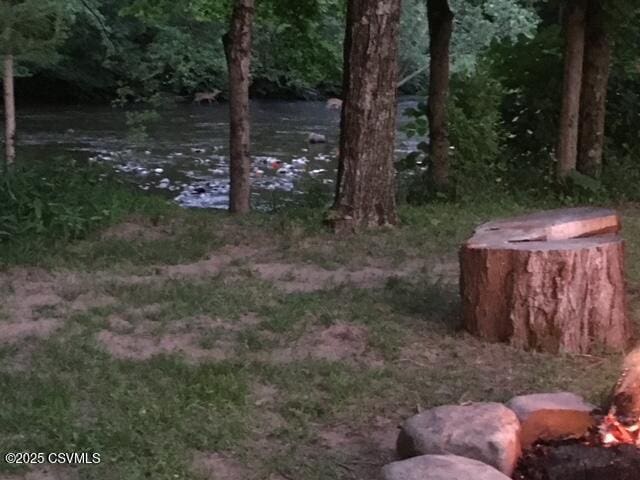 2852 State Route 487, Orangeville, PA 17859 - view of yard featuring a water view and a view of trees