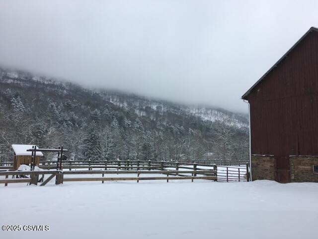 2852 State Route 487, Orangeville, PA 17859 - snowy yard with a wooded view and an outdoor structure