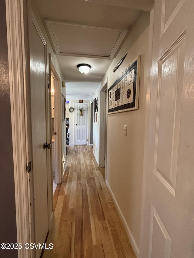 220 Spring Lake Crst, Watsontown, PA 17777 - hall with light wood-type flooring and baseboards