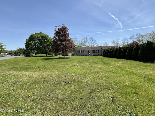 220 Spring Lake Crst, Watsontown, PA 17777 - view of grassy yard