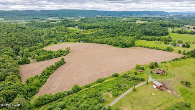 Klondike Rd, Danville, PA 17821