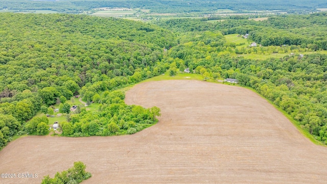Klondike Rd, Danville, PA 17821