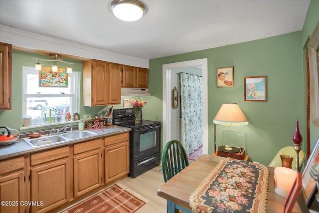 27-29 S Water St, Selinsgrove, PA 17870 - kitchen featuring black range with electric stovetop, a sink, under cabinet range hood, and light wood-style flooring
