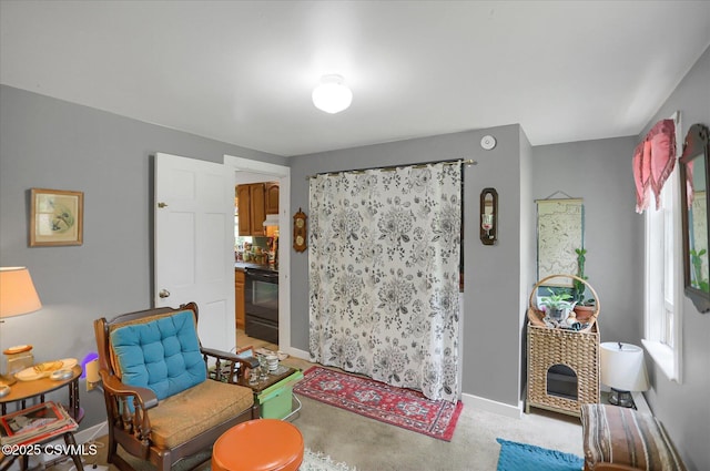 27-29 S Water St, Selinsgrove, PA 17870 - living area featuring baseboards and concrete flooring