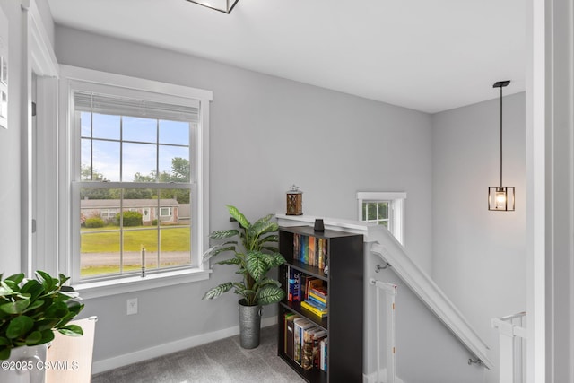 13 Virginia Ln, Danville, PA 17821 - photo 19