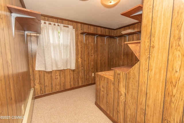 2256 Crossroads Dr, Lewisburg, PA 17837 - walk in closet with carpet floors and a baseboard heating unit