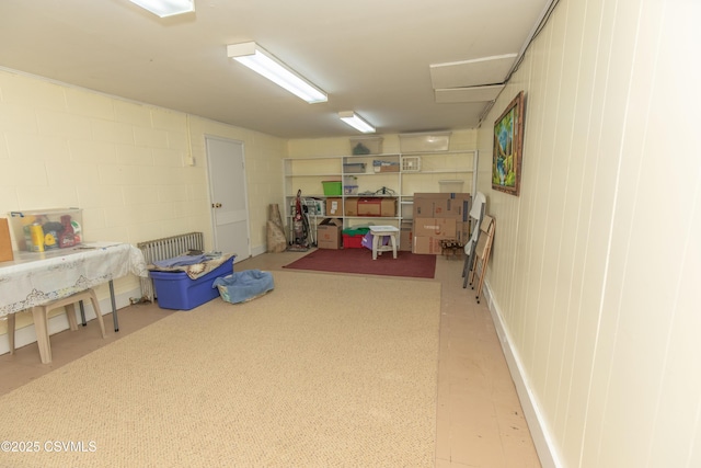 2256 Crossroads Dr, Lewisburg, PA 17837 - below grade area with concrete block wall