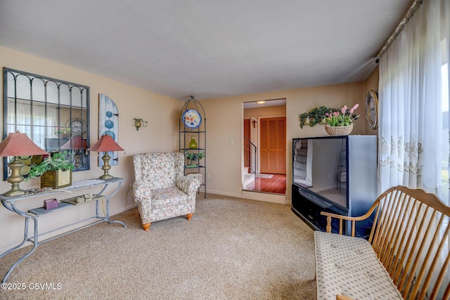 1207 E 5th St, Berwick, PA 18603 - sitting room featuring carpet flooring and baseboards
