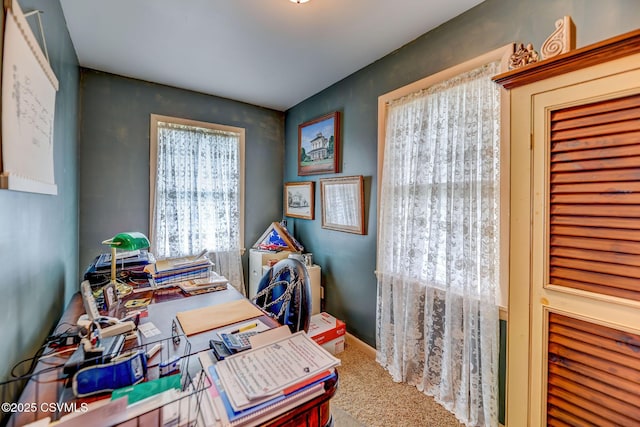 1207 E 5th St, Berwick, PA 18603 - view of carpeted home office