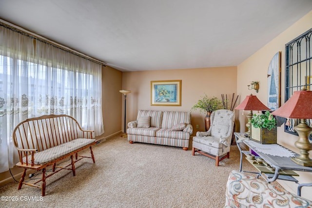 1207 E 5th St, Berwick, PA 18603 - living area featuring carpet floors
