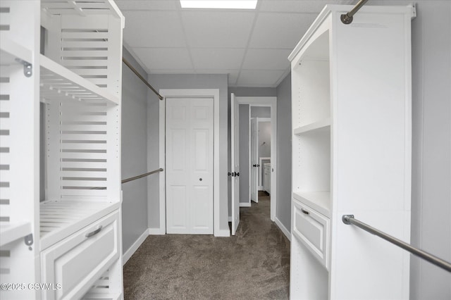 521 Church St, Danville, PA 17821 - spacious closet featuring dark carpet and a paneled ceiling
