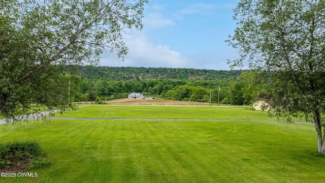 162 Liberty Valley Rd, Danville, PA 17821 - view of property's community with a yard and a wooded view