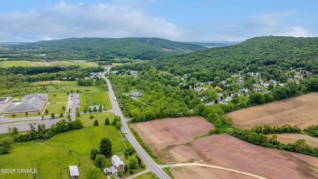 162 Liberty Valley Rd, Danville, PA 17821 - bird's eye view of a heavily wooded area and mountains