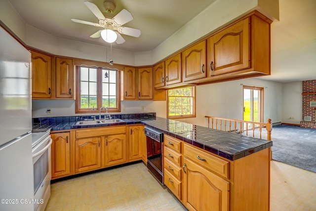 162 Liberty Valley Rd, Danville, PA 17821 - kitchen featuring black dishwasher, a peninsula, stove, freestanding refrigerator, and a sink