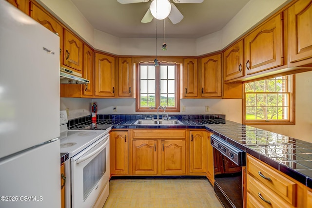 162 Liberty Valley Rd, Danville, PA 17821 - kitchen featuring white appliances, a sink, under cabinet range hood, brown cabinetry, and a ceiling fan