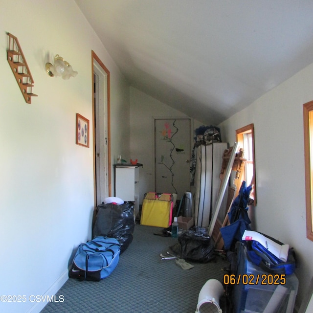 17 E Mill St, Selinsgrove, PA 17870 - interior space with carpet floors and vaulted ceiling