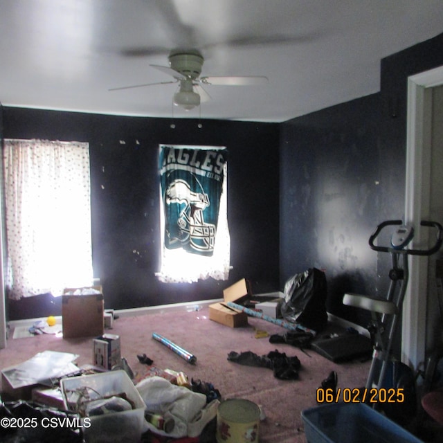 17 E Mill St, Selinsgrove, PA 17870 - carpeted empty room with ceiling fan