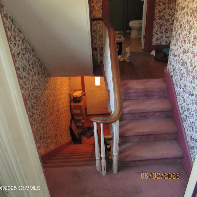 17 E Mill St, Selinsgrove, PA 17870 - stairs featuring wallpapered walls and carpet floors
