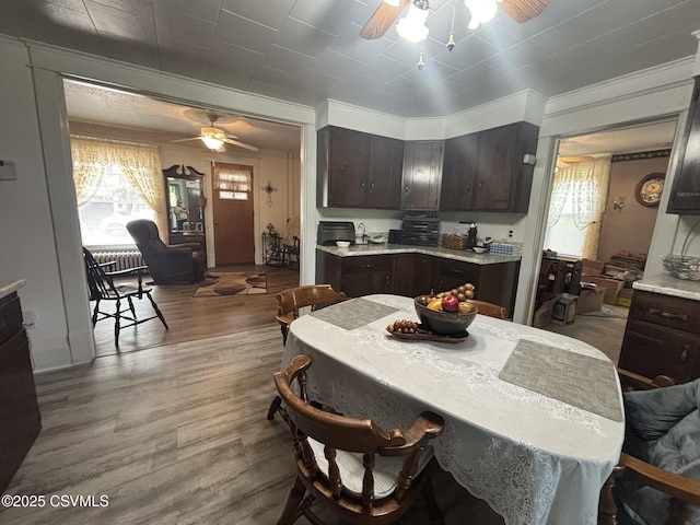 321 E Shamokin St, Trevorton, PA 17881 - kitchen featuring ceiling fan, light countertops, dark brown cabinetry, wood finished floors, and ornamental molding