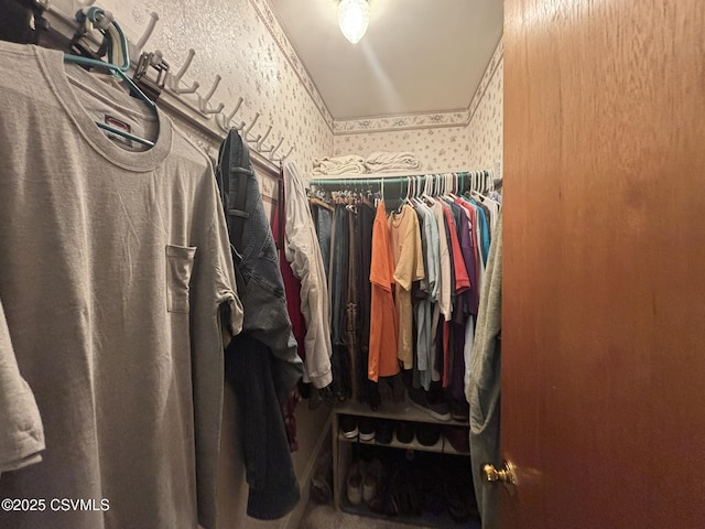 321 E Shamokin St, Trevorton, PA 17881 - view of spacious closet