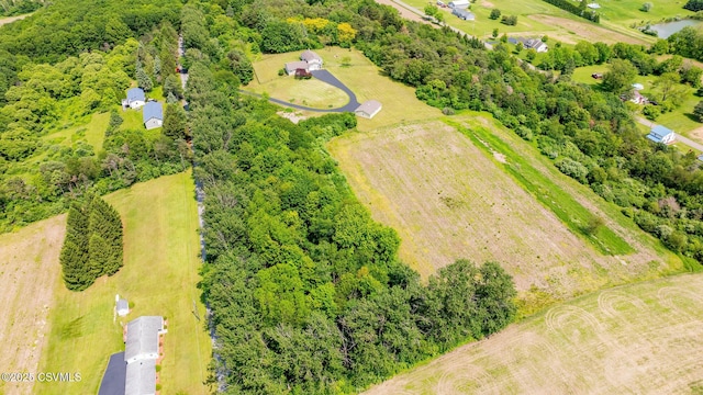 67 Center School Rd, Elysburg, PA 17824 - bird's eye view