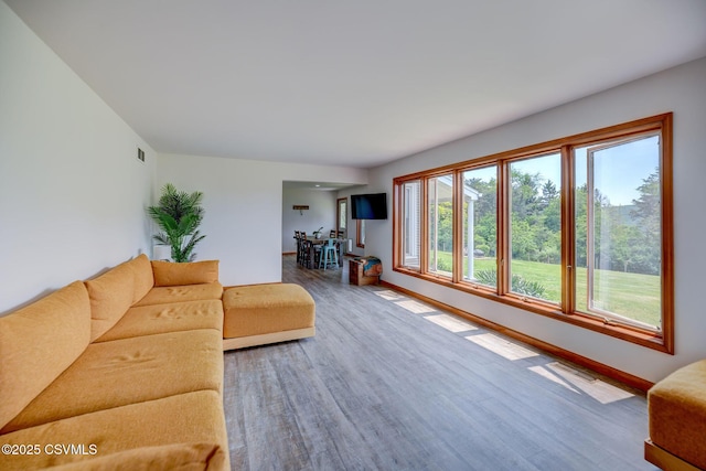 67 Center School Rd, Elysburg, PA 17824 - living room featuring wood finished floors and baseboards