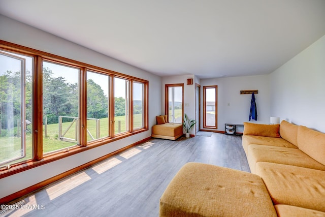 67 Center School Rd, Elysburg, PA 17824 - living room featuring wood finished floors and baseboards