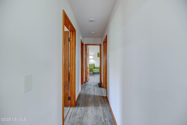 67 Center School Rd, Elysburg, PA 17824 - corridor with wood finished floors and baseboards