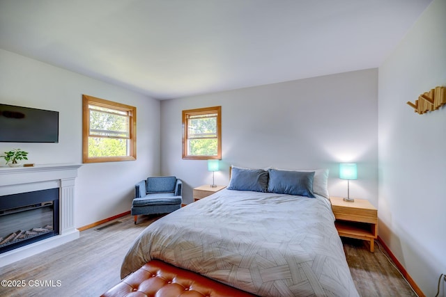 67 Center School Rd, Elysburg, PA 17824 - bedroom featuring wood finished floors, baseboards, and a glass covered fireplace