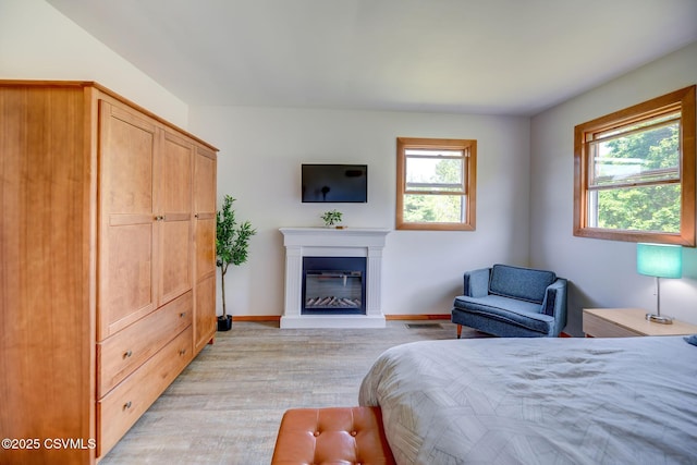 67 Center School Rd, Elysburg, PA 17824 - bedroom with light wood-type flooring, a glass covered fireplace, and baseboards