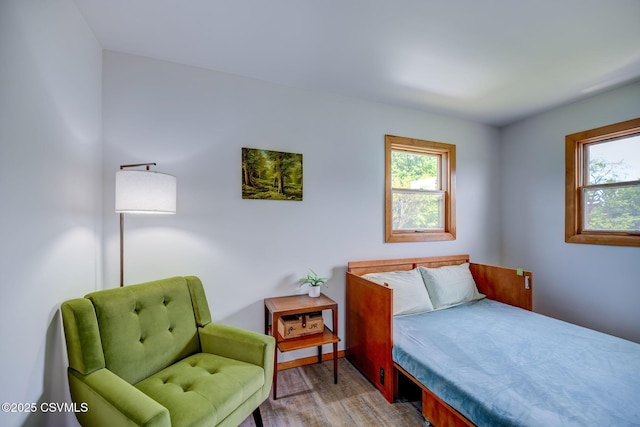 67 Center School Rd, Elysburg, PA 17824 - bedroom with multiple windows and wood finished floors