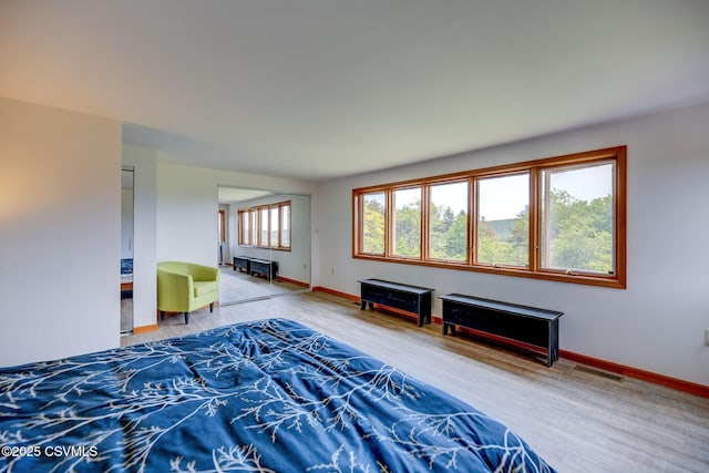 67 Center School Rd, Elysburg, PA 17824 - bedroom with wood finished floors and baseboards