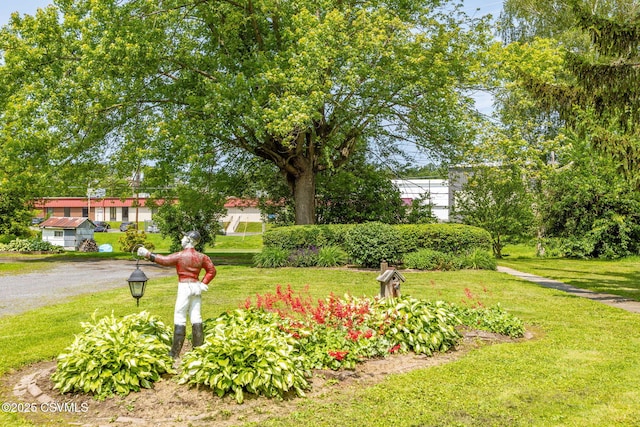 651 E Market St, Danville, PA 17821 - view of green lawn