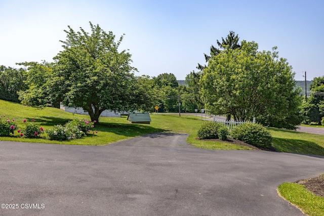 776 Continental Blvd, Danville, PA 17821 - view of home's community featuring a lawn