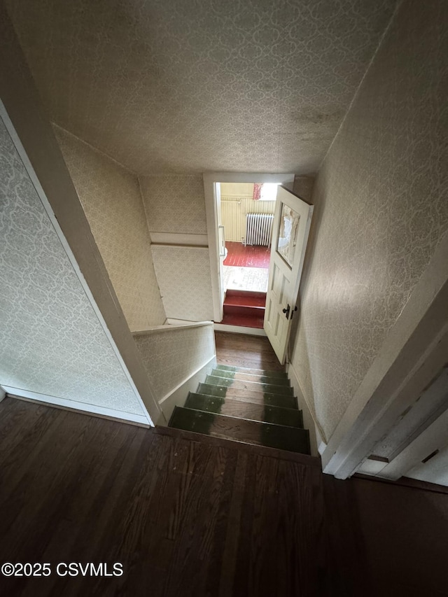 127 N 3rd St, Lewisburg, PA 17837 - stairs with wood finished floors and wallpapered walls