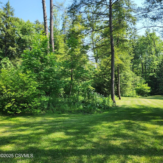 810 Creek Rd, Mount Pleasant Mills, PA 17853