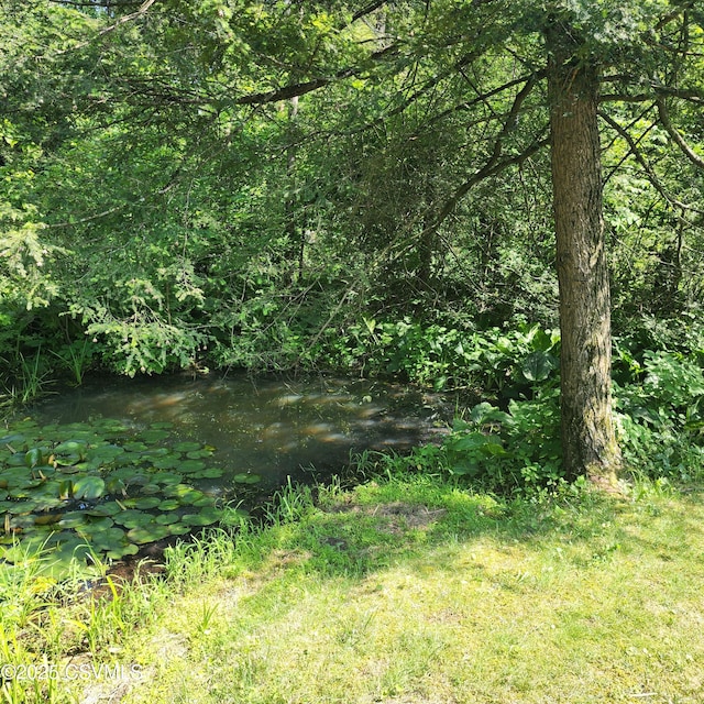810 Creek Rd, Mount Pleasant Mills, PA 17853