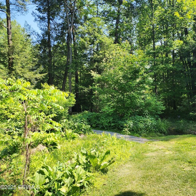 810 Creek Rd, Mount Pleasant Mills, PA 17853