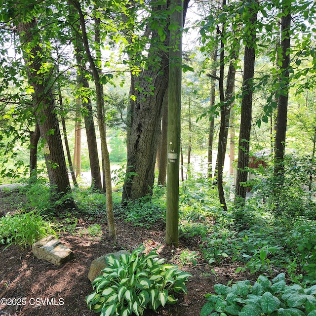 810 Creek Rd, Mount Pleasant Mills, PA 17853