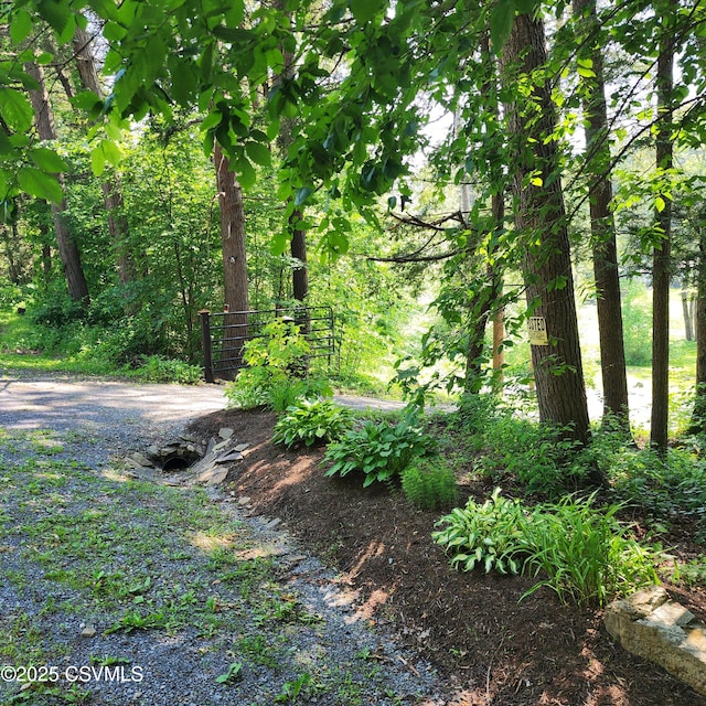 810 Creek Rd, Mount Pleasant Mills, PA 17853