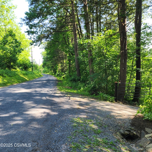 810 Creek Rd, Mount Pleasant Mills, PA 17853