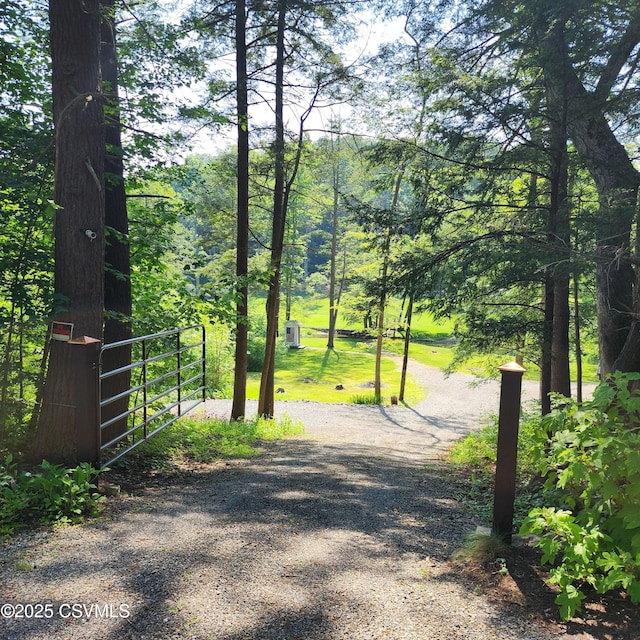 810 Creek Rd, Mount Pleasant Mills, PA 17853