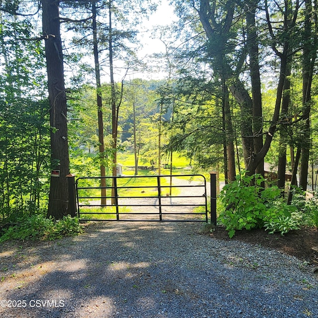 810 Creek Rd, Mount Pleasant Mills, PA 17853