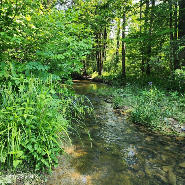 810 Creek Rd, Mount Pleasant Mills, PA 17853