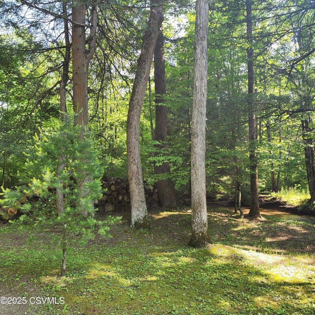 810 Creek Rd, Mount Pleasant Mills, PA 17853