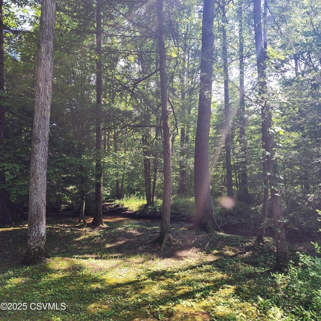 810 Creek Rd, Mount Pleasant Mills, PA 17853
