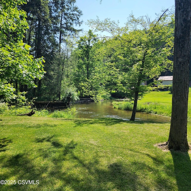 810 Creek Rd, Mount Pleasant Mills, PA 17853