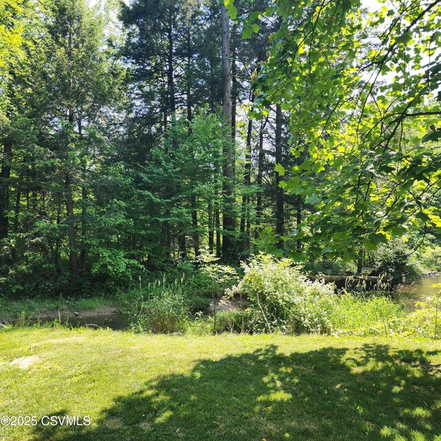 810 Creek Rd, Mount Pleasant Mills, PA 17853