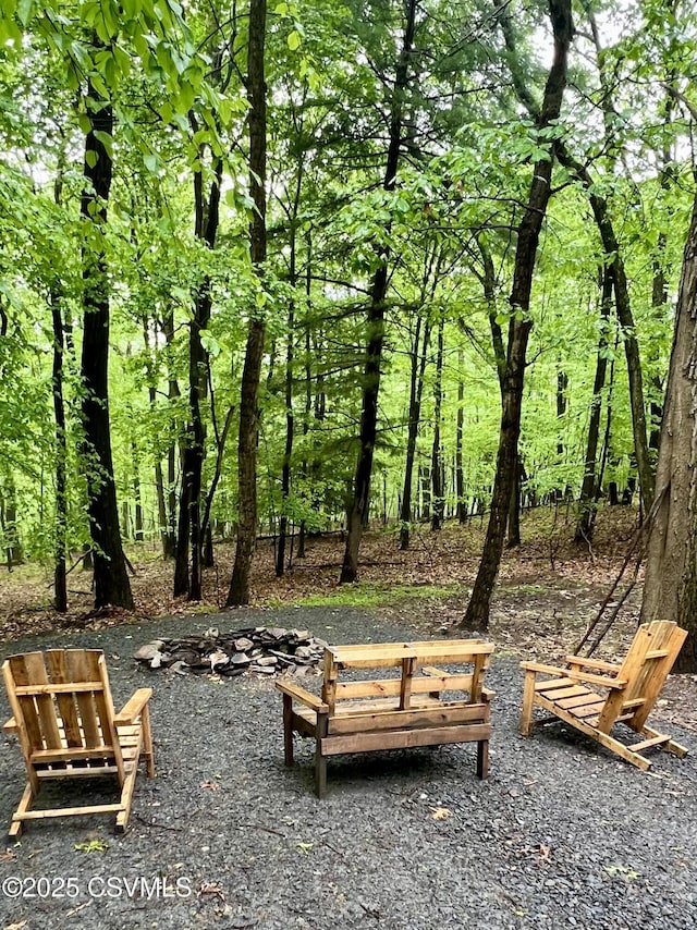 511 Snowflake Ln, Shickshinny, PA 18655 - view of home's community