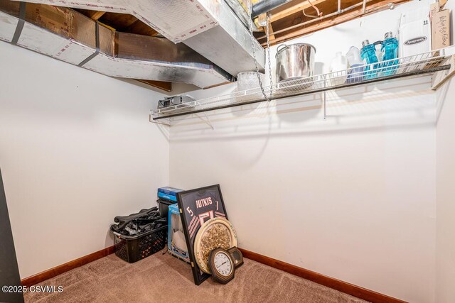 306 Clybourne Ave, Berwick, PA 18603 - walk in closet with carpet floors